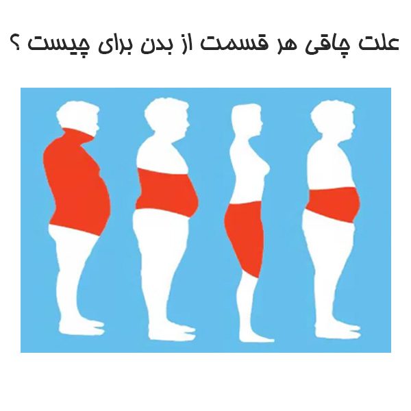 علت چاقی هر قسمت از بدن برای چیست ؟ ایران ترک 1